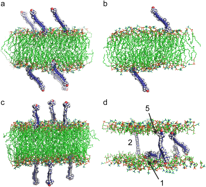 Fig. 2