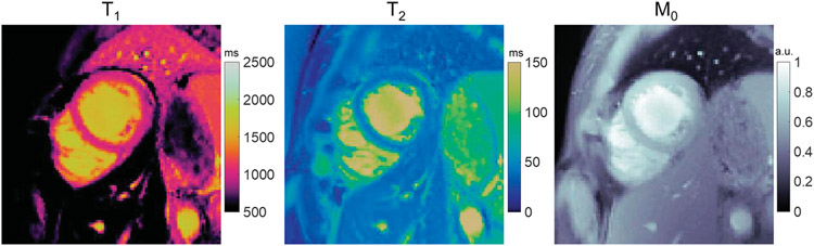 FIGURE 5.