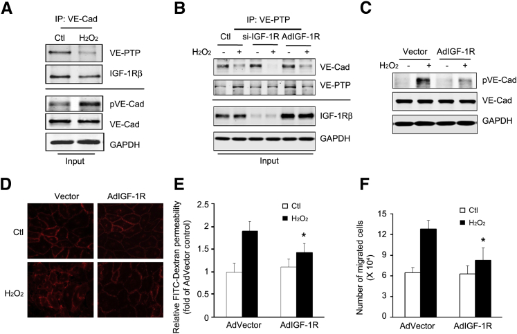 Figure 6