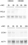 FIG. 4.