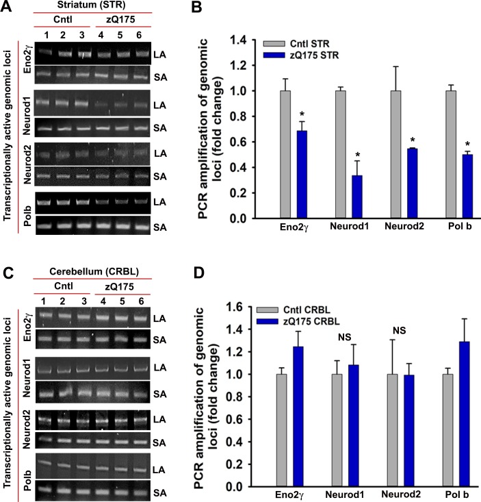 Figure 6—figure supplement 1.