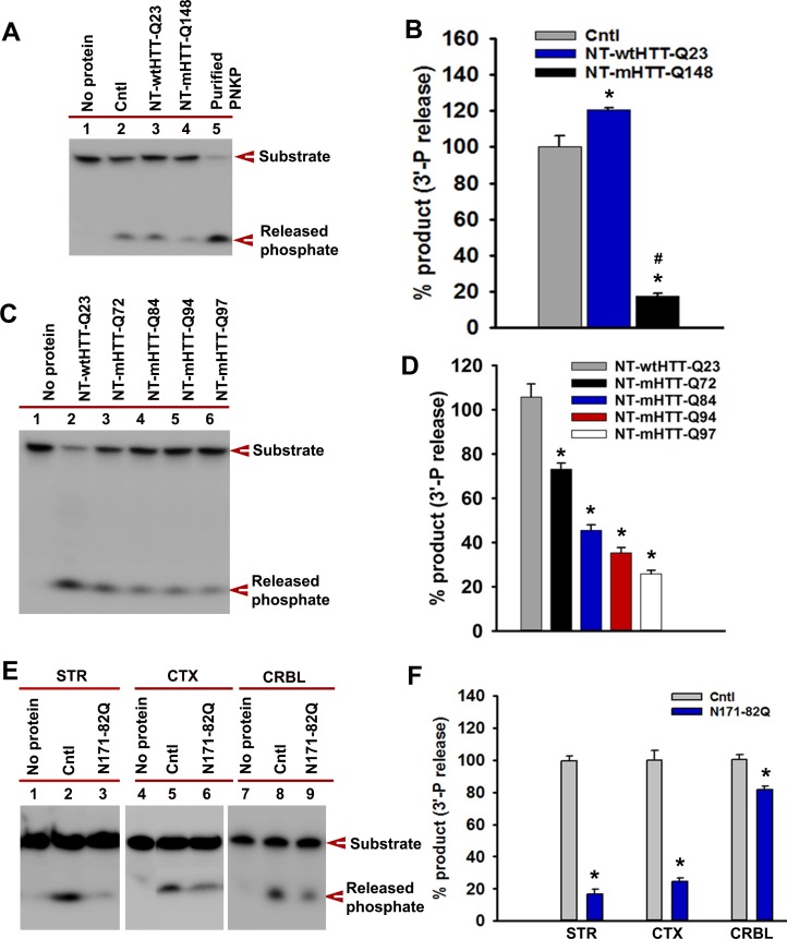 Figure 5—figure supplement 3.