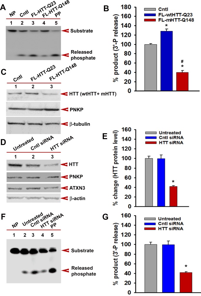 Figure 5—figure supplement 2.