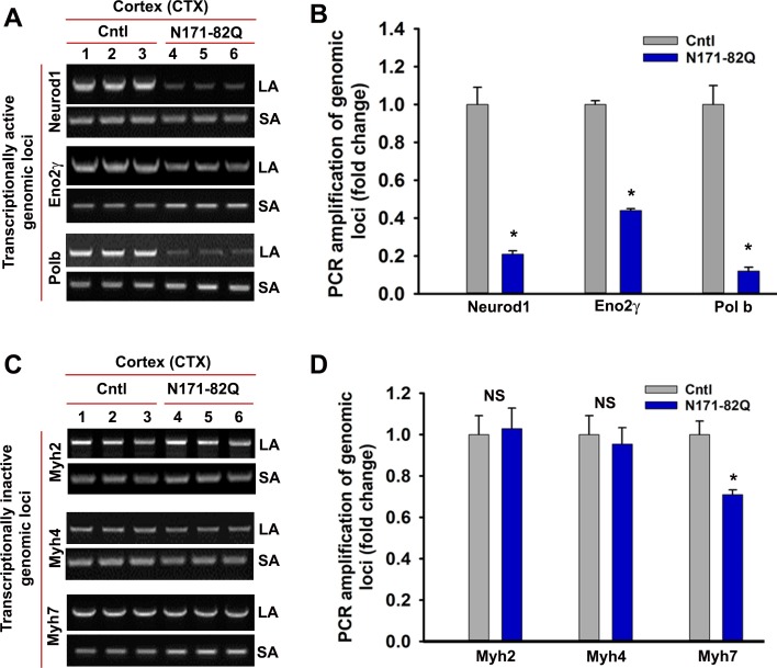 Figure 6—figure supplement 4.