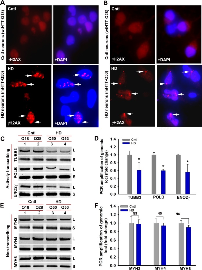 Figure 6—figure supplement 3.