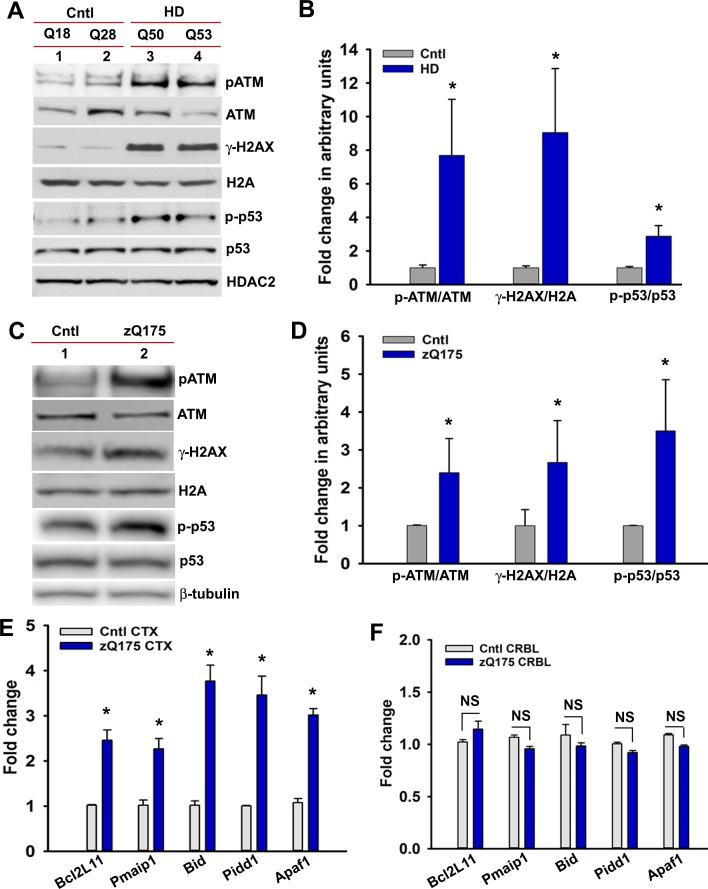 Figure 5—figure supplement 4.