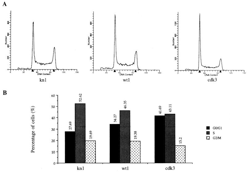 FIG. 8