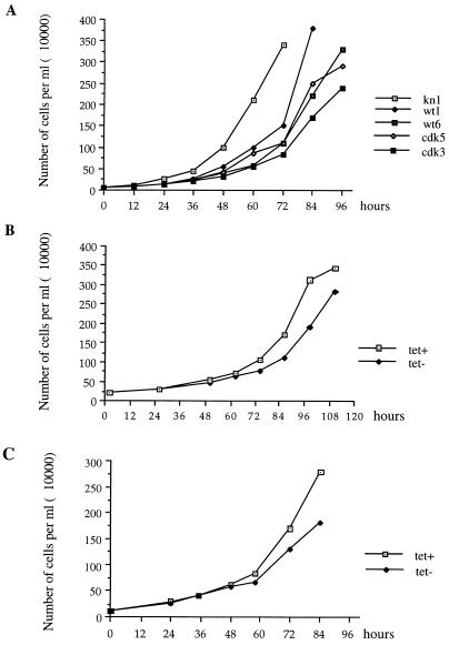 FIG. 7