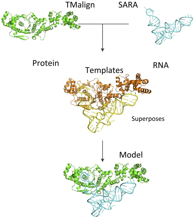 Fig 4