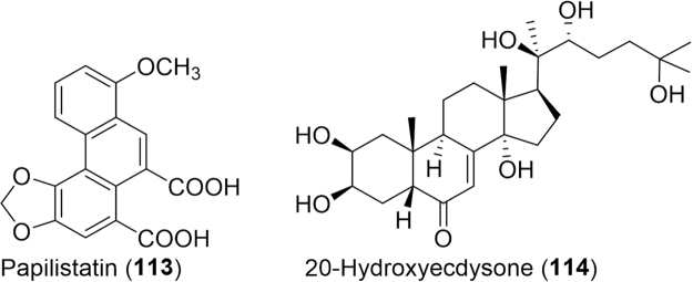 Fig. 19