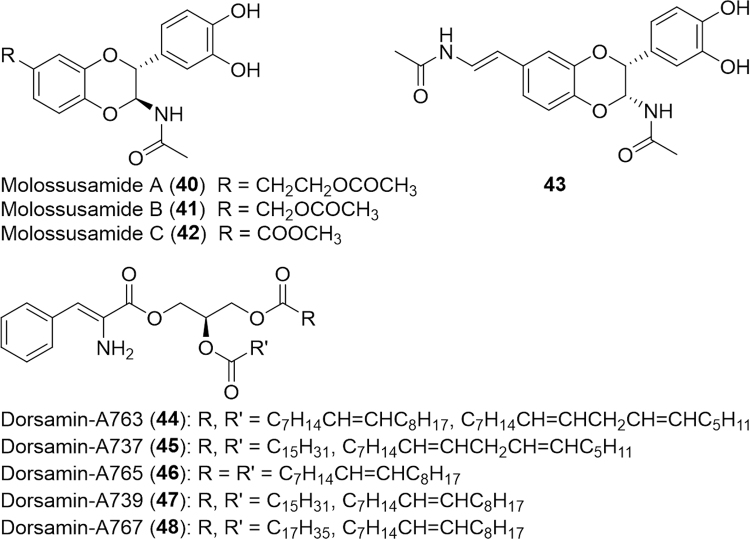 Fig. 8