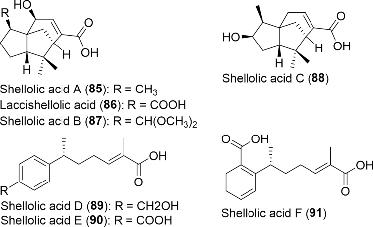 Fig. 15