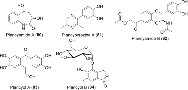 Fig. 14