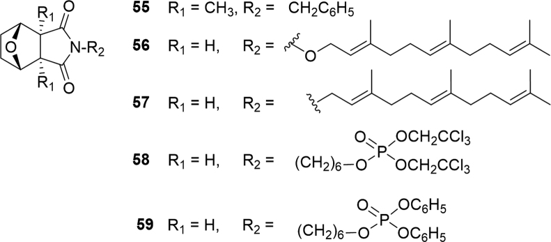 Fig. 10