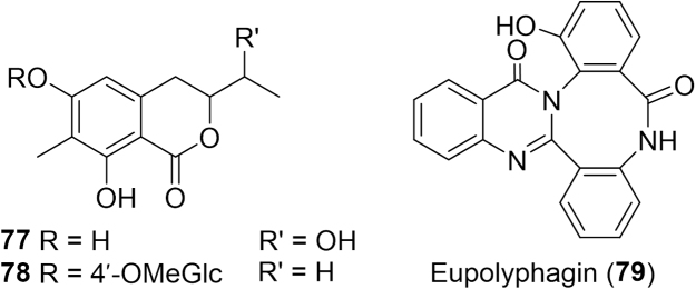 Fig. 13