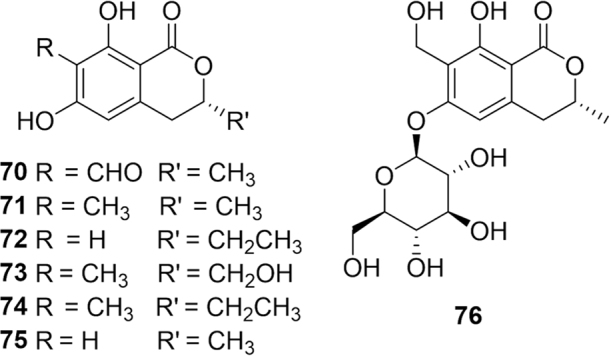 Fig. 12