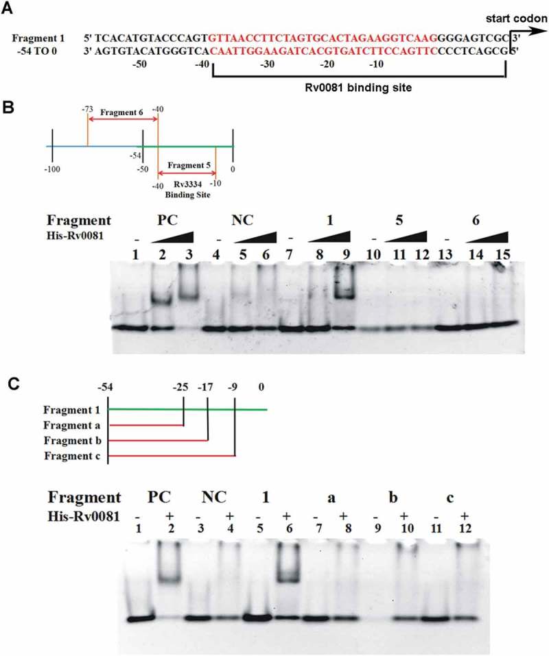 Figure 5.