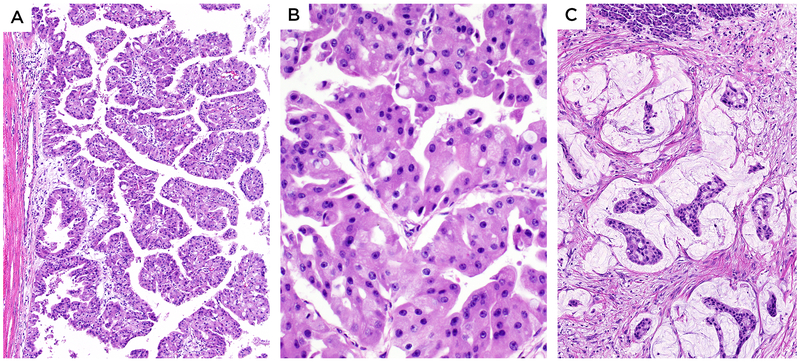 Figure 1: