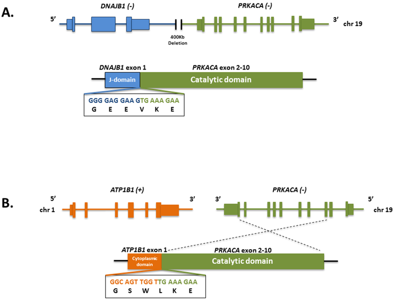 Figure 5: