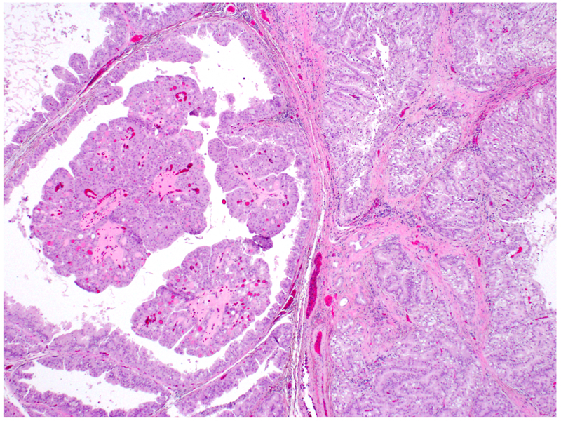 Figure 2: