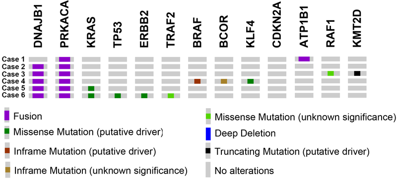 Figure 4: