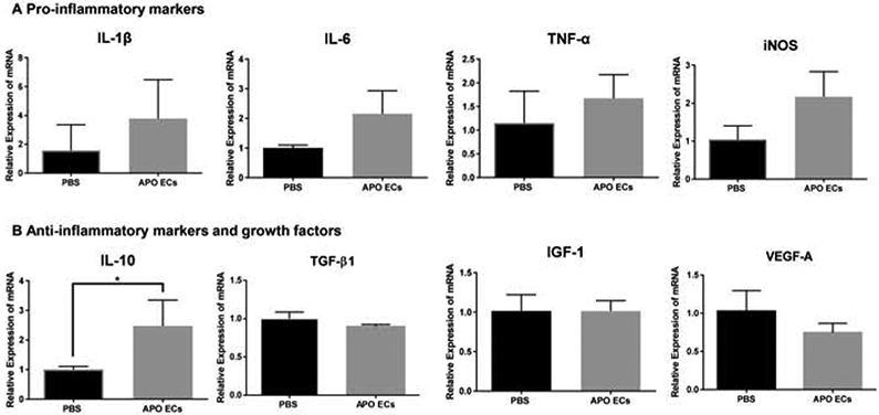 Figure 5: