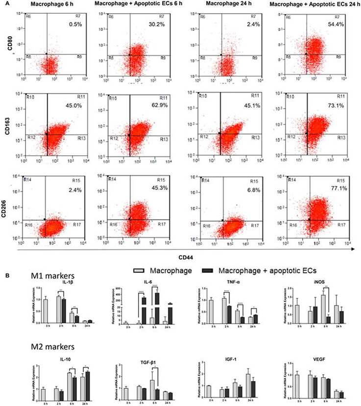 Figure 2: