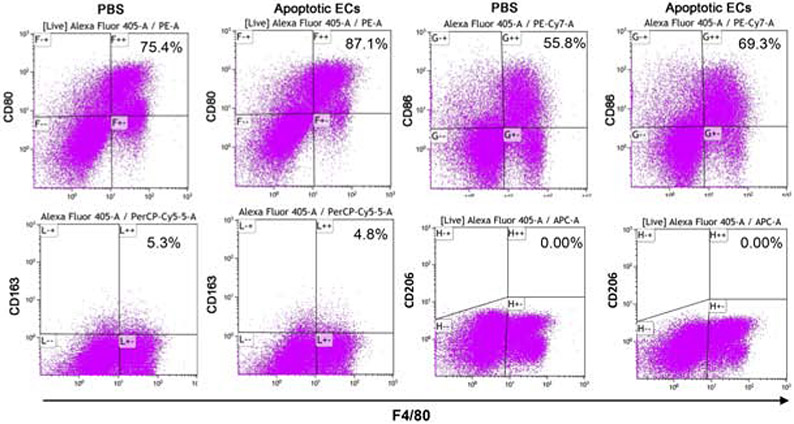 Figure 4: