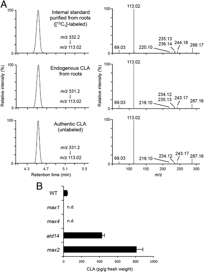 Fig. 4.