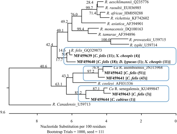 FIG 2 