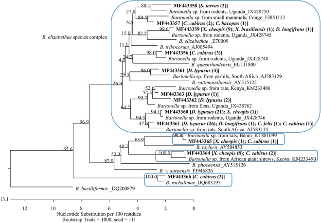 FIG 1 