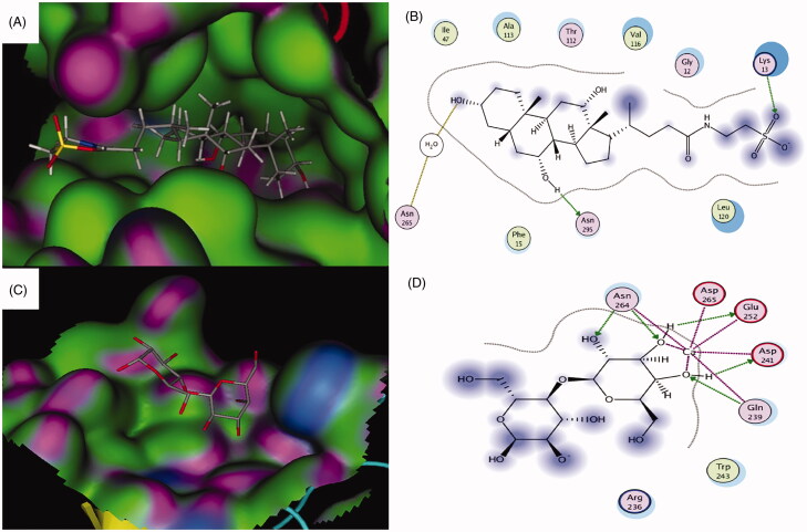 Figure 2.