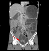 Fig. 1.