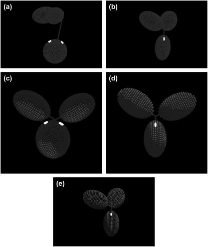 FIGURE 3