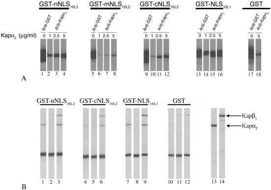 FIG. 7.