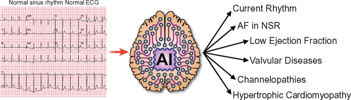 Graphical Abstract