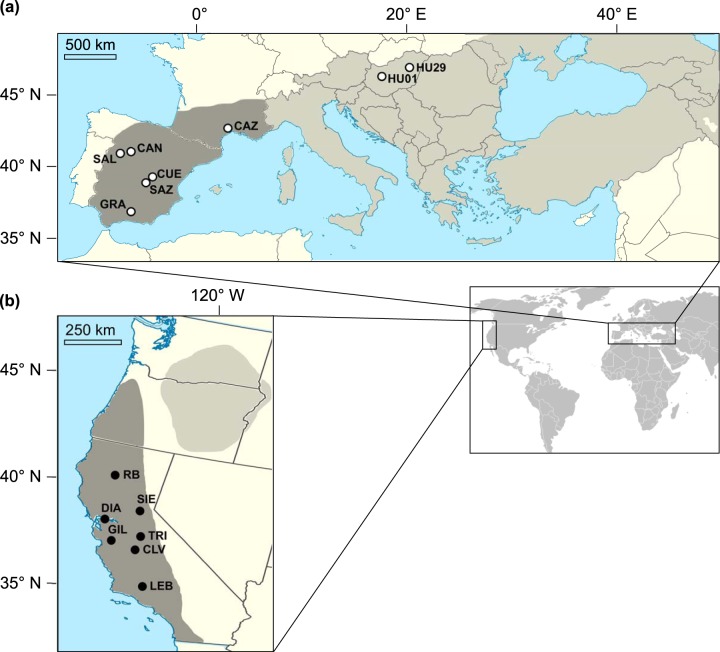 FIG 1