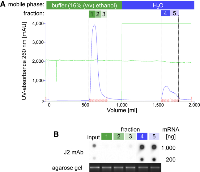 Figure 5