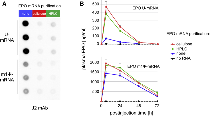 Figure 6