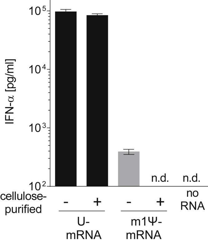 Figure 7