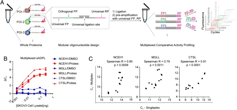 Fig. 4.