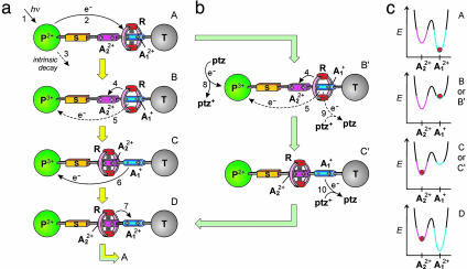 Scheme 2.