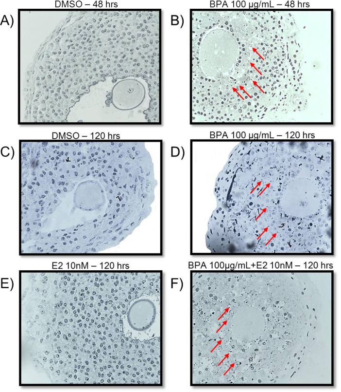 FIG. 8. 