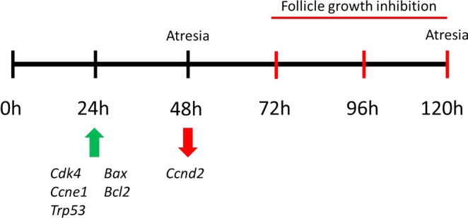 FIG. 11. 