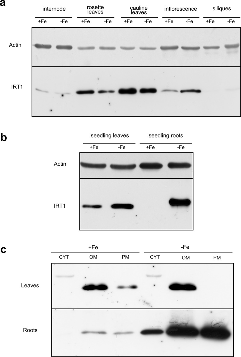 Figure 4.