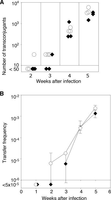 FIG. 6.