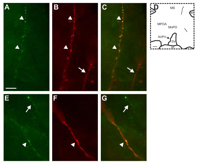 Figure 9