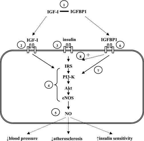 FIG. 7.