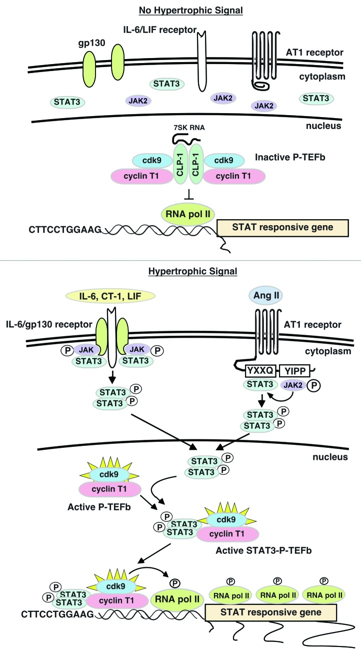 graphic file with name jkst-1-131-g4.jpg