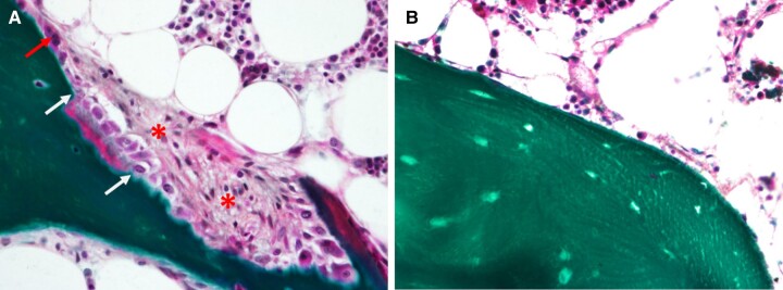 Figure 25.